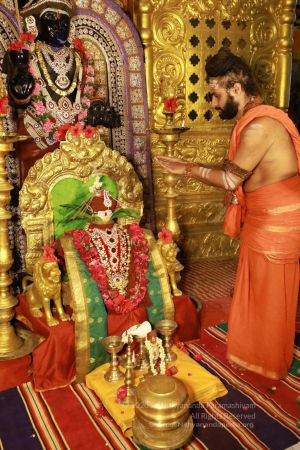 20200606 Photo 1063 1mkaHEuR90H7IGckDL4vq32GhtYHyLnKU.JPG