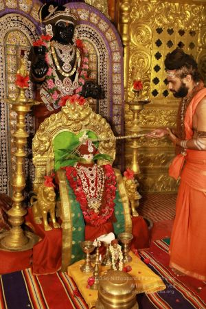 20200606 Photo 1072 1nzdWndB0UA2xzPLB Z6X8HhcMhl5FX4B.JPG