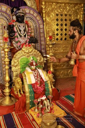 20200606 Photo 1078 1bEQgulKbRNVNSL25oaoo-JqW2hbbP11a.JPG