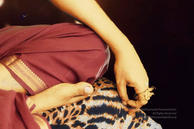 20200609 Photo 8 1y0Pb-iQeRONl7gA8Y5ivWYMnV7oBd5kD.jpg