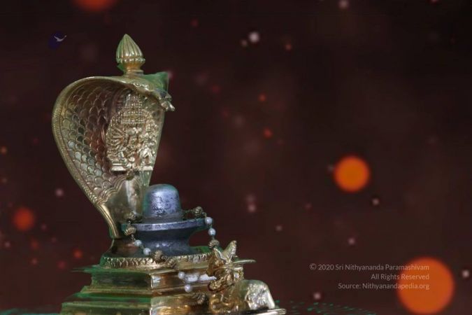 20200808 Photo 1 1Cnhj3kaA9ctx8LY57kDbmDObKb0Y6mKr.jpg