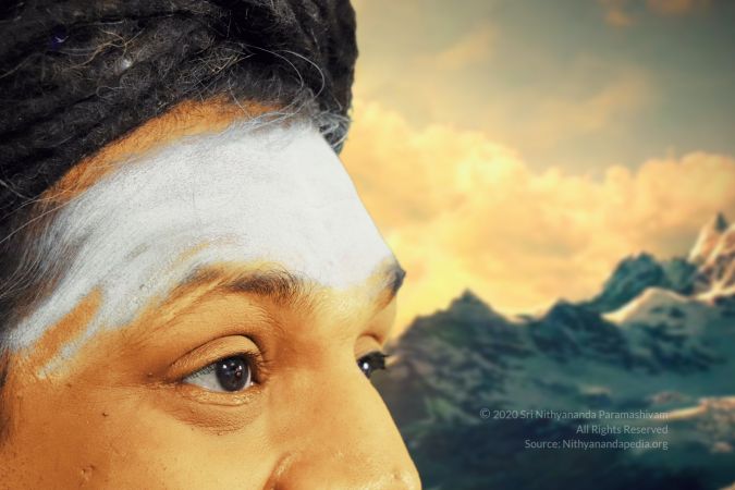 20200823 Photo 1004 1I8yYAWfRuhino9-M3f8BKzM9CtKyakRD.JPG