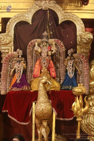 20201124 Photo 1001 1wkNa35SoH30X0DApll- ZUZyPrmSiTpO.JPG