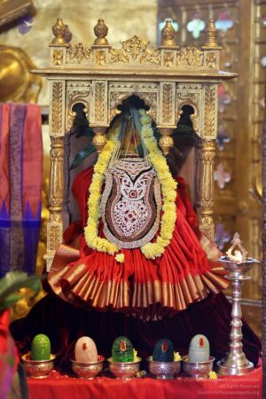 20201124 Photo 1015 1KlkmB05SfF7rEMszcXXPFhDAEFsNsyx .JPG