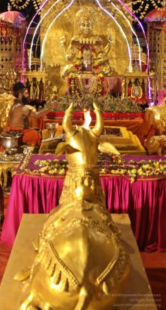 20201124 Photo 1020 1G1ffYMyGPGrVH-IHmq7k n6M4R1JGrNm.JPG