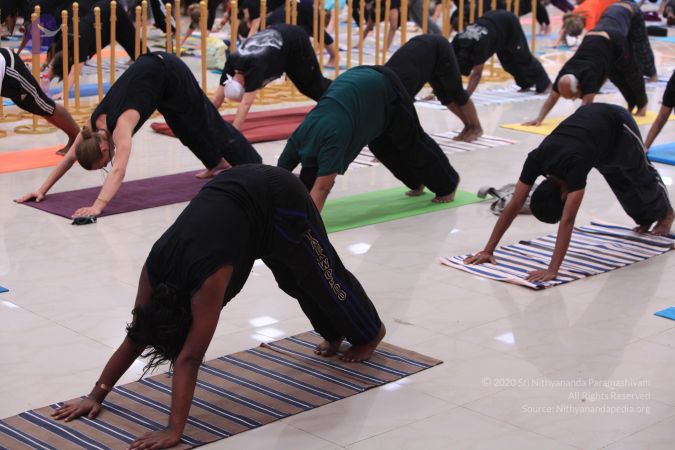 20210213 Photo 1018 1TiuYnvcrzbL5rfEmZYHu8S-74TXhRFX9.JPG