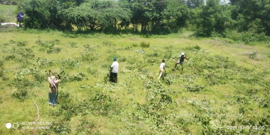 20210915 7.15.33 AM.jpg