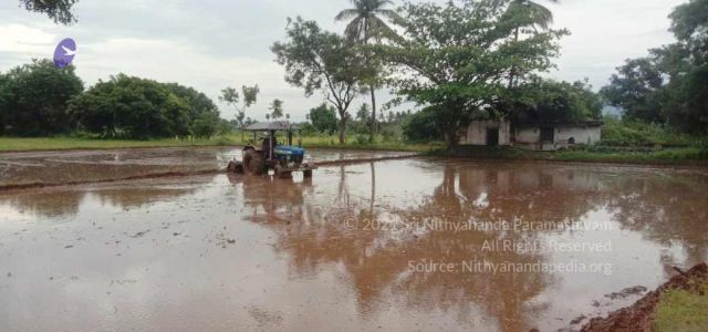 20210923 Tiruvannamalai 11.50.29 AM.jpg