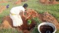 Thumbnail for version as of 12:07, 27 September 2021