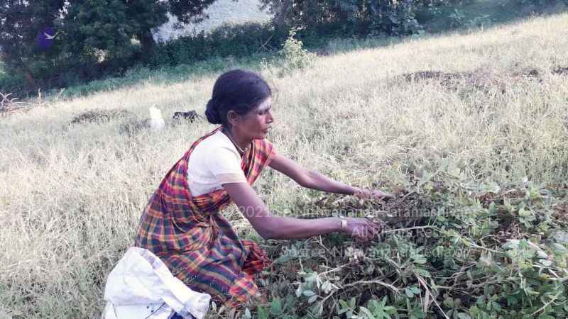 20210928 Tiruvannamalai 7.47.52 PM.jpg