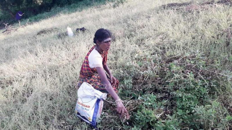 20210928 Tiruvannamalai 7.47.54 PM.jpg