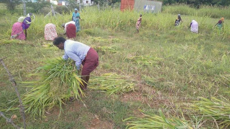 File:20211001 Tiruvannamalai 6.28.14 PM.jpg