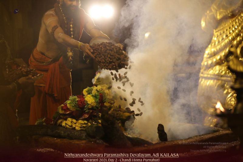 File:20211008 1114 244989928 FB.jpg