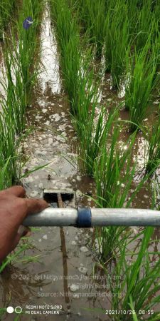 20211025 kacharapattu 9.47.16 AM.jpg