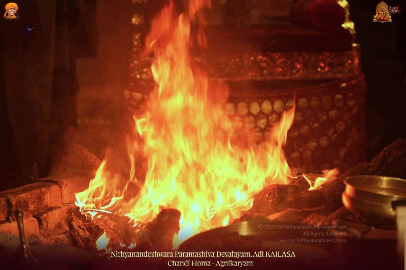 File:20211108 1052 254636331 FB.jpg