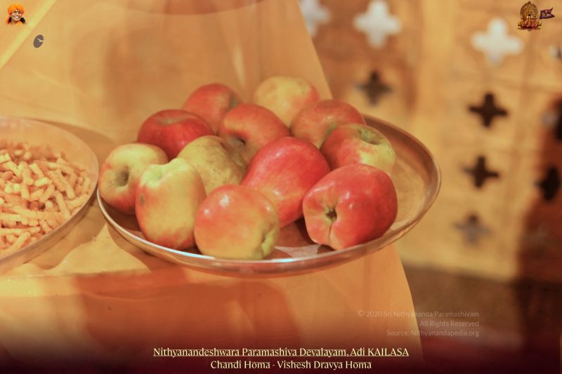 File:20211108 1057 254808973 FB.jpg