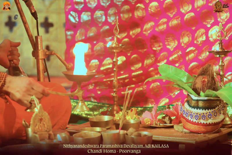 File:20211108 1132 255004043 FB.jpg