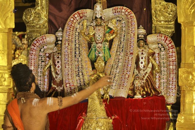 20211111 Photo 1009 1lBHXMSU-uK2oB B0yy9YXLOwq2LRFnJz.JPG