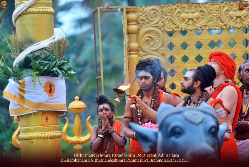 File:20211112 1112 256880321 FB.jpg