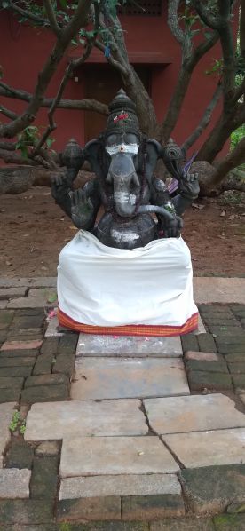 File:20211113 162307.jpg