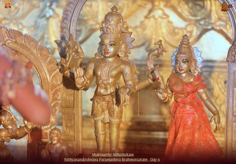 File:20211115 1239 257424597 FB.jpg