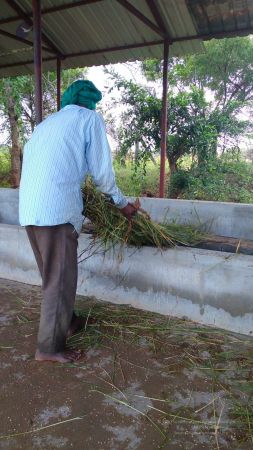 20211206 WhatsApp Image 2021-12-12 at 3.27.49 PM 11.jpg