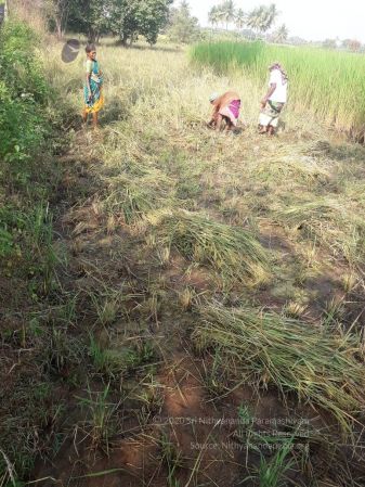 20211206 WhatsApp Image 2021-12-26 at 9.55.58 AM (2) 11.jpg