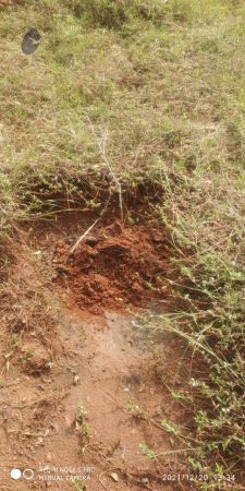 20211220 kacharapattu 1.39.22 PM (1) 11.jpg