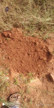 20211220 kacharapattu 1.39.22 PM (2) 11.jpg