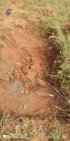 20211220 kacharapattu 1.39.23 PM (2) 11.jpg