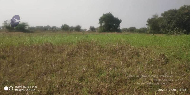 File:20211220 kacharapattu 1.39.24 PM (1) 11.jpg