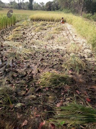 20211223 3.42.51 PM 11.jpg