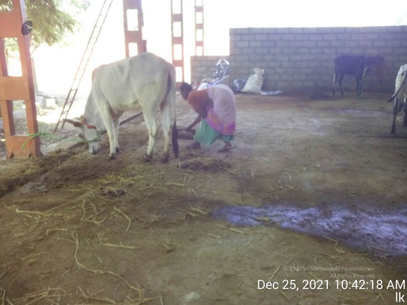 File:20211225 TimePhoto 20211225 104218 11.jpg