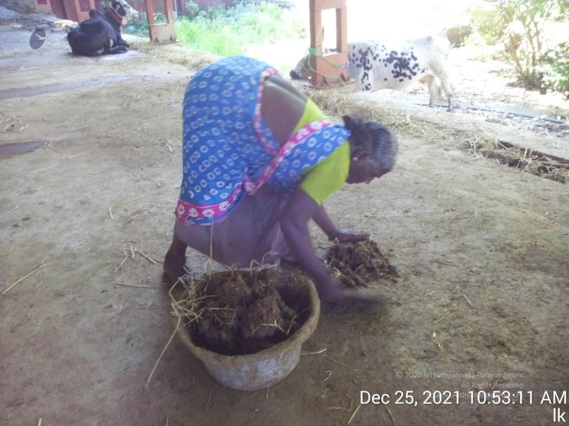 File:20211225 TimePhoto 20211225 105311 11.jpg