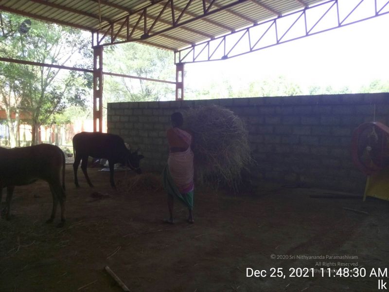 File:20211225 TimePhoto 20211225 114830 11.jpg