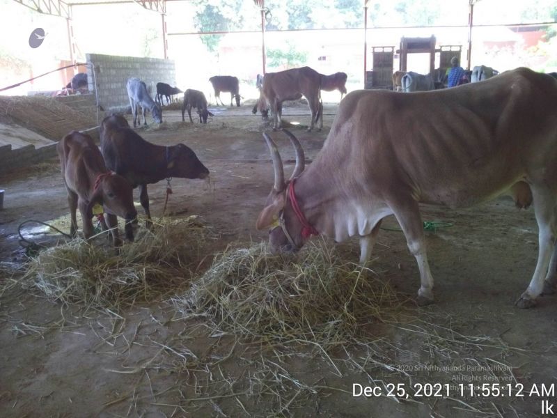 File:20211225 TimePhoto 20211225 115512 11.jpg