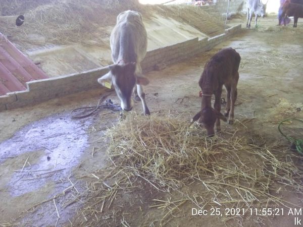 20211225 TimePhoto 20211225 115521 11.jpg