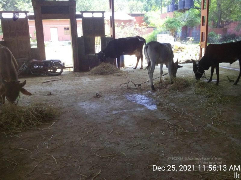 File:20211225 TimePhoto 20211225 115613 11.jpg