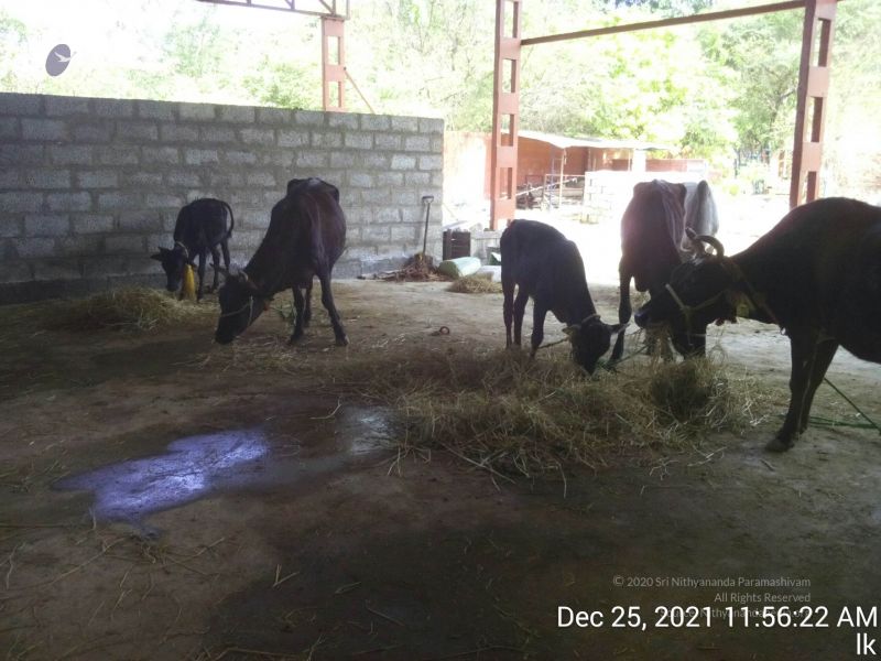 File:20211225 TimePhoto 20211225 115622 11.jpg