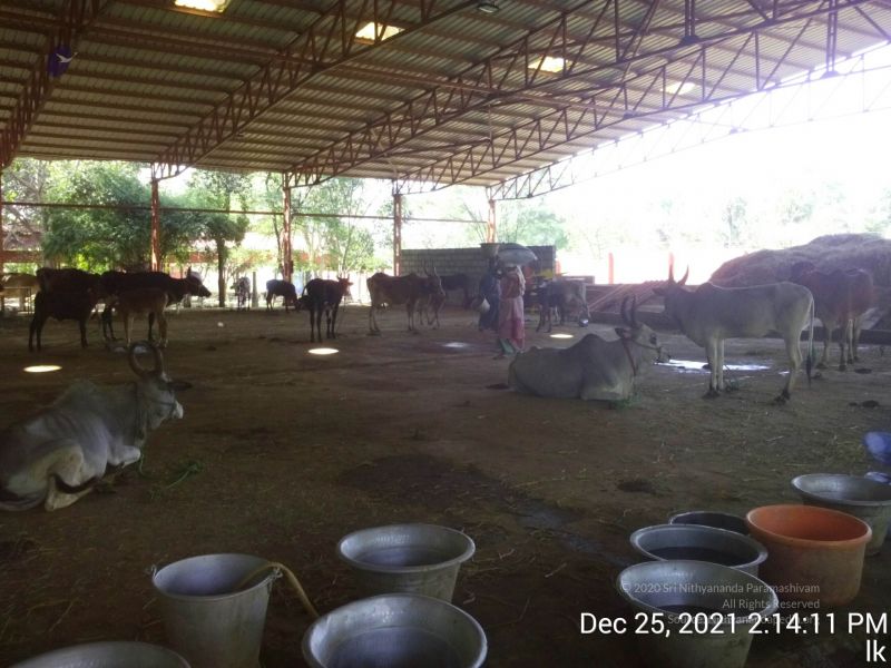 File:20211225 TimePhoto 20211225 141412 11.jpg