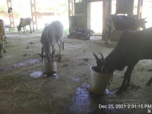 20211225 TimePhoto 20211225 143115 11.jpg