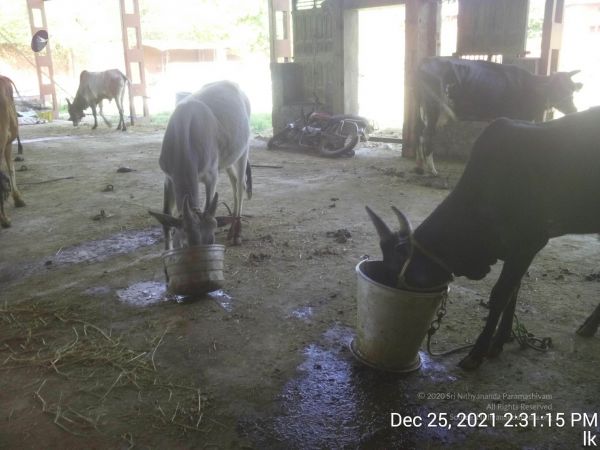 20211225 TimePhoto 20211225 143115 11.jpg