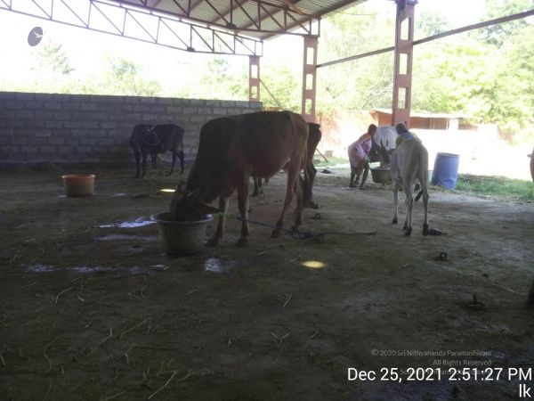 20211225 TimePhoto 20211225 145127 11.jpg