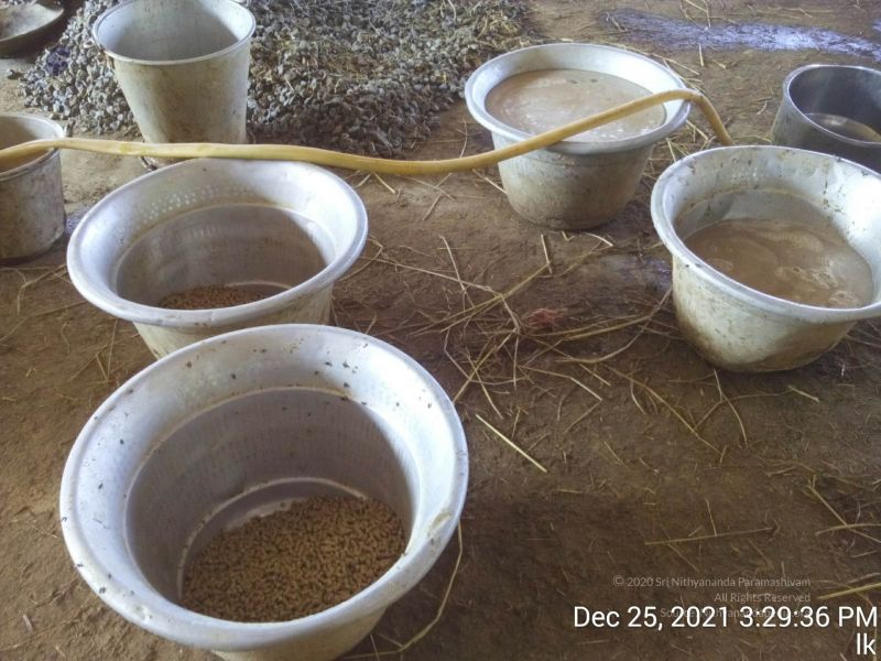 File:20211225 TimePhoto 20211225 152936 11.jpg