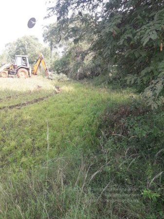 20211226 kacharapattu clearing 10.49.48 AM 11.jpg