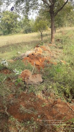 20211226 kacharapattu clearing 2.59.44 PM (1) 11 11.jpg