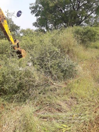 20211226 kacharapattu clearing 2.59.53 PM (1) 11 11.jpg