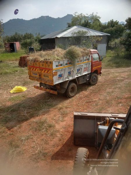 File:20211226 kacharapattu clearing 3.00.05 PM 11 11.jpg