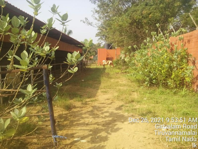 File:20211226 kailasa-in-tvm 095351.jpg