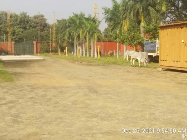 20211226 kailasa-in-tvm 095450.jpg